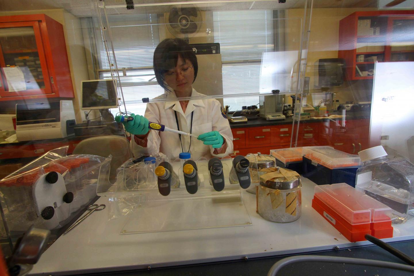 Yang Chen, War Related Illness and Injury Study Center