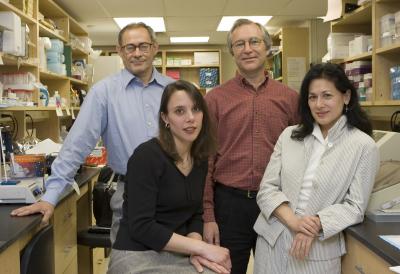 Arsenic Inhibits DNA Repair