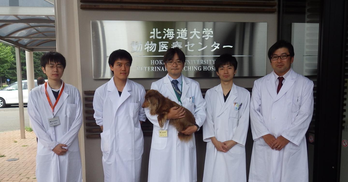 Members of the research team