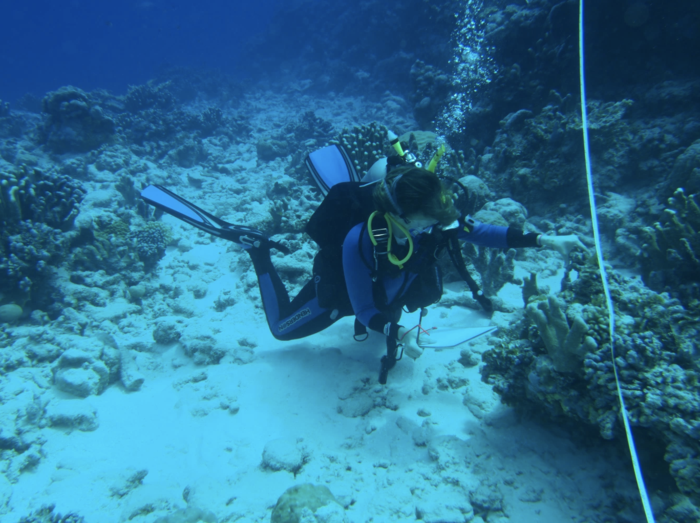 Study of coral reefs of Pacific Gilbert Islands could provide sneak preview into effects of climate change-induced heat stress globally