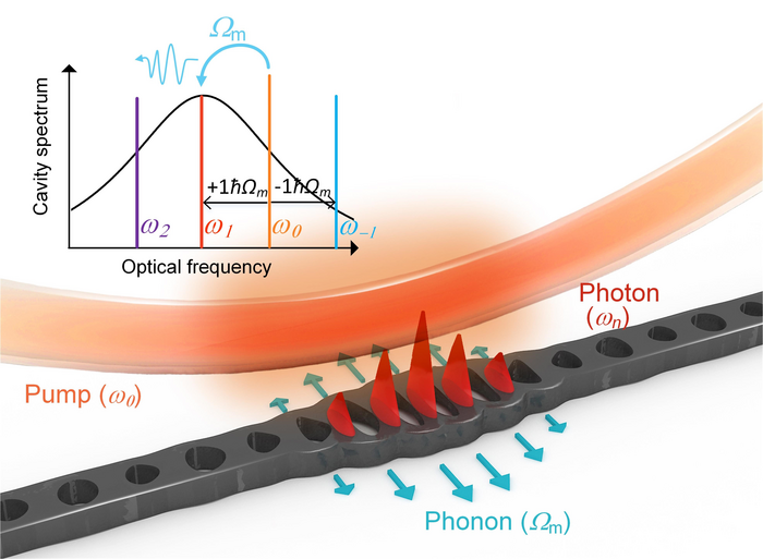 Strong photon-phonon coupling and simultaneous lasing of photon and phonon in a one-dimensional optomechanical microcavity