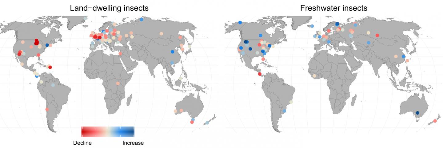 Global Changes in Insect Populations Reflect Both Decline and Growth (1 of 2)