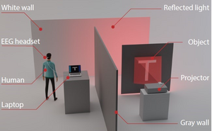 Experimental set-up