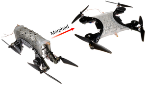 Morphing Drone