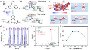 Polaron interfacial occupied entropy engineering