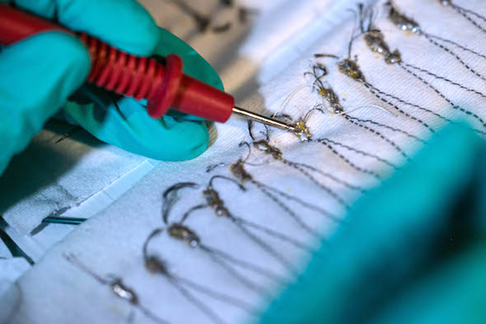 Woven nanotube fibers turn heat into power - Image 2