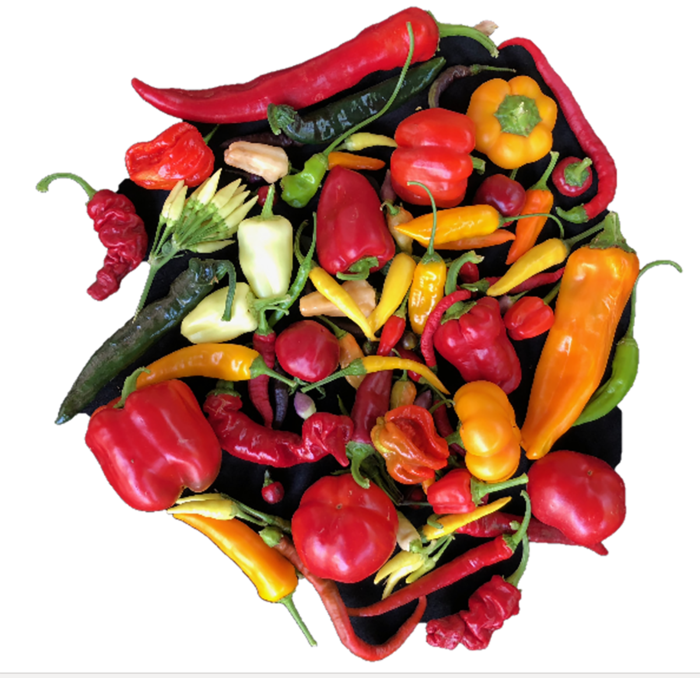 Variety of peppers