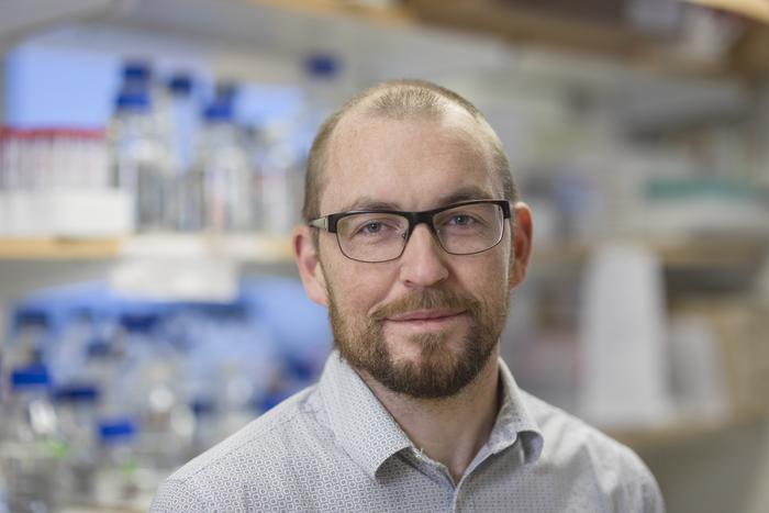 Ronnie Berntsson, portrait