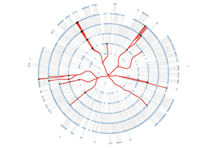 Identifying Who is At Risk