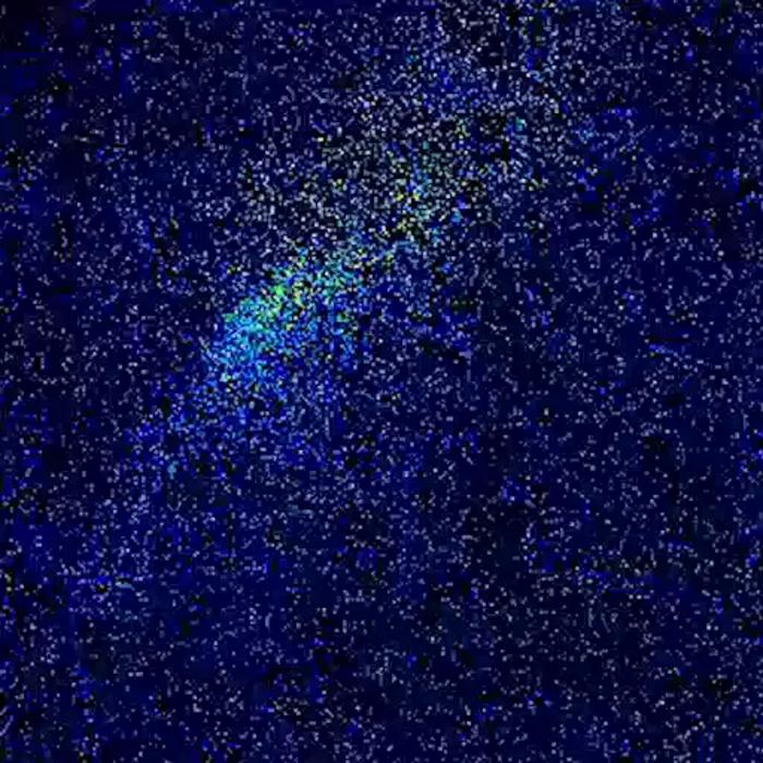 A neuron releasing dopamine