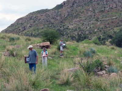 Surveying Plants in the Catalina Mountains in Arizona