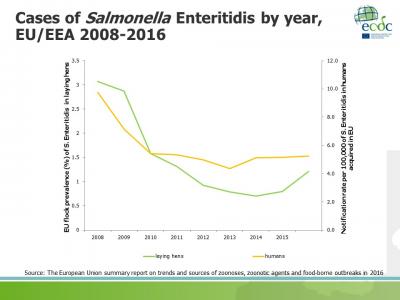 Salmonella Enteritidis in the EU/EEA