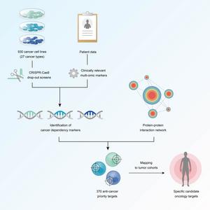 Cancer Dependency Map graphical abstract