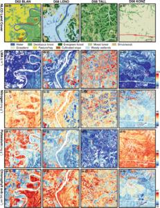 Mapping Plant Functional Diversity from Space: HKU Ecologists Revolutionise Ecosystem Monitoring with Novel Field-Satellite Integration