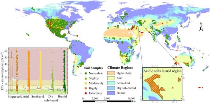Spatial distribution of the global climate class and the ground soil salinity observations.
