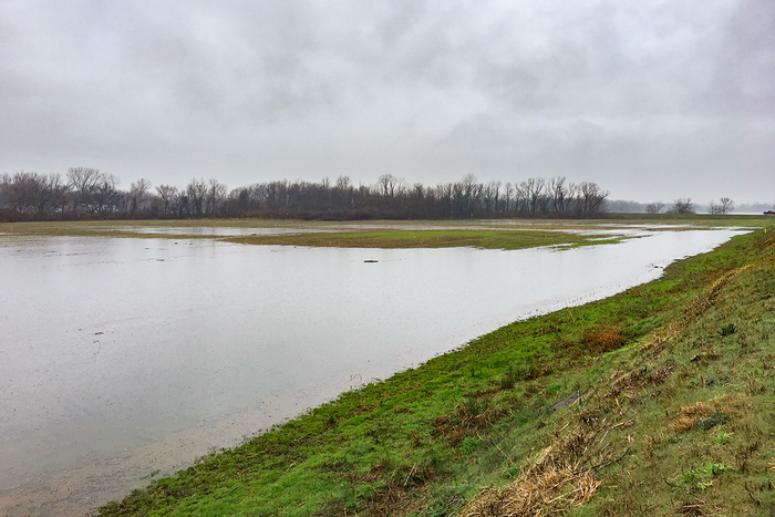 Mound 14 surrounded by water