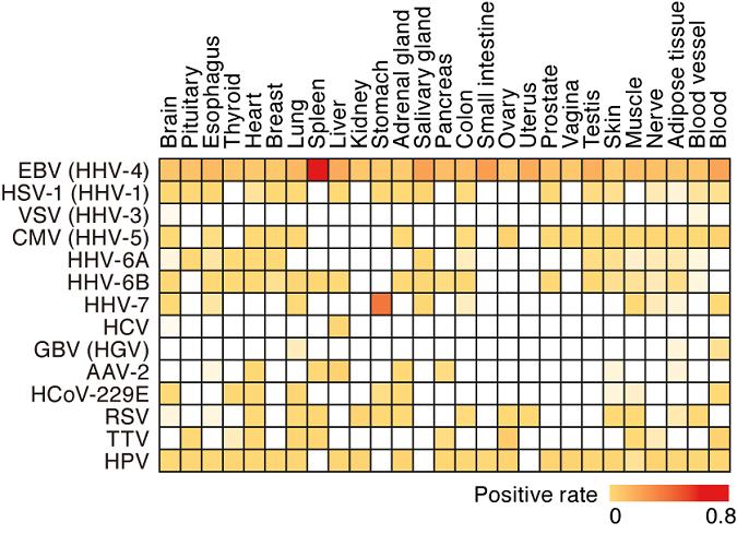 Figure 1 ?Human tissue virome atlas