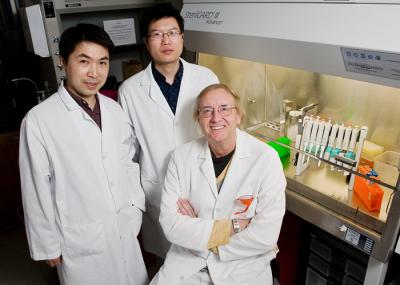 Zhang, Cao and Oldfield, University of Illinois at Urbana-Champaign