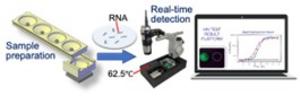 An HIV detection platform combining paper-based sample preparation with real-time isothermal amplification.