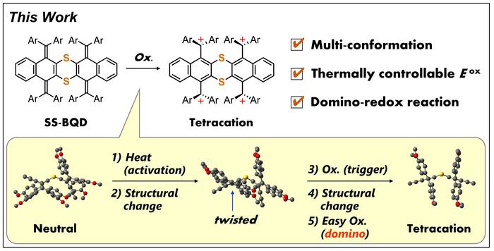 Domino-redox reaction in this study