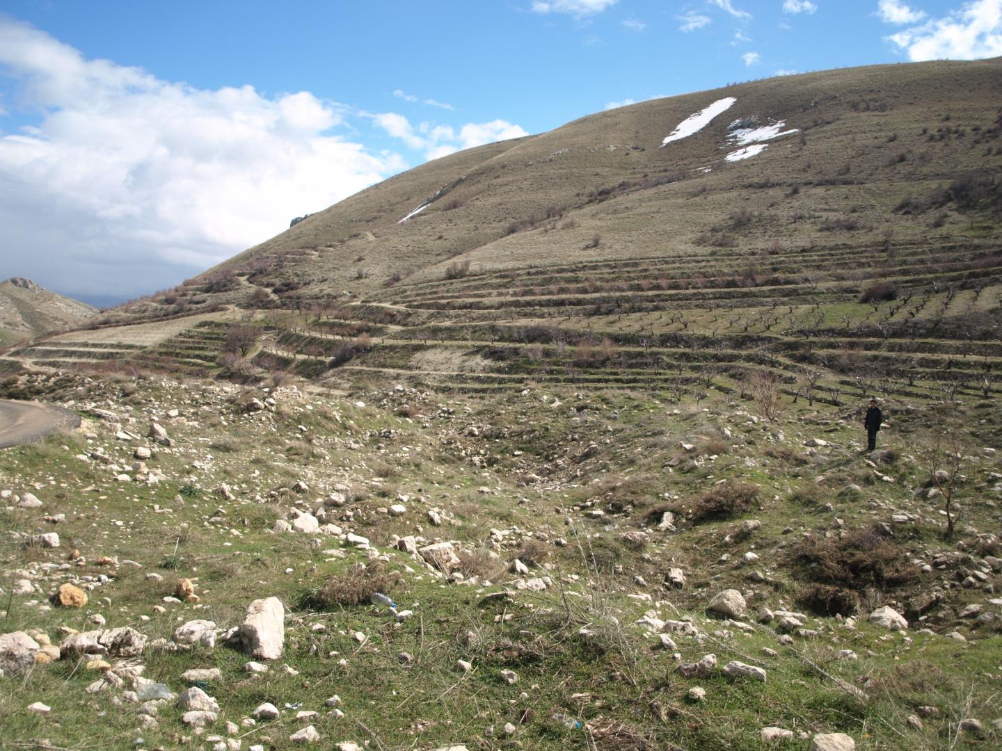 Graeco-Roman Settlement