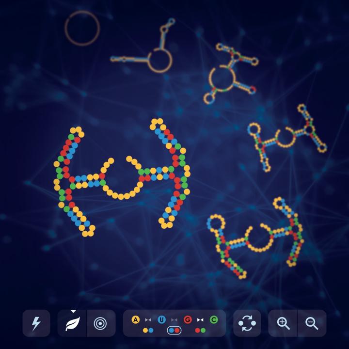 New AI Tool Captures Top Players' Strategies in RNA Video Game