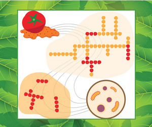 Throwing tomatoes at bacteria