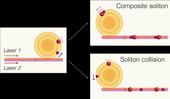 An Image-Summary of Soliton Fate