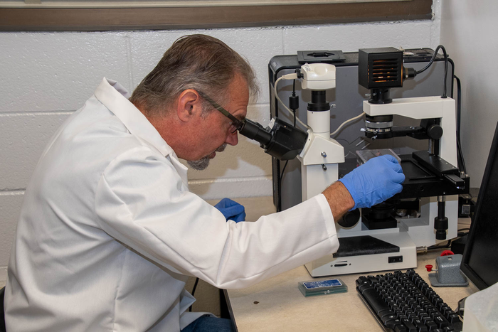 William Baldwin research