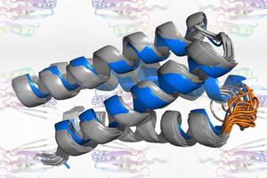 Hallucinated protein