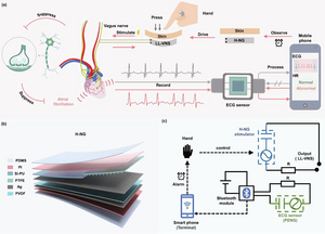 Overview and principle of the H-NG based closed-loop self-powered LL-VNS system