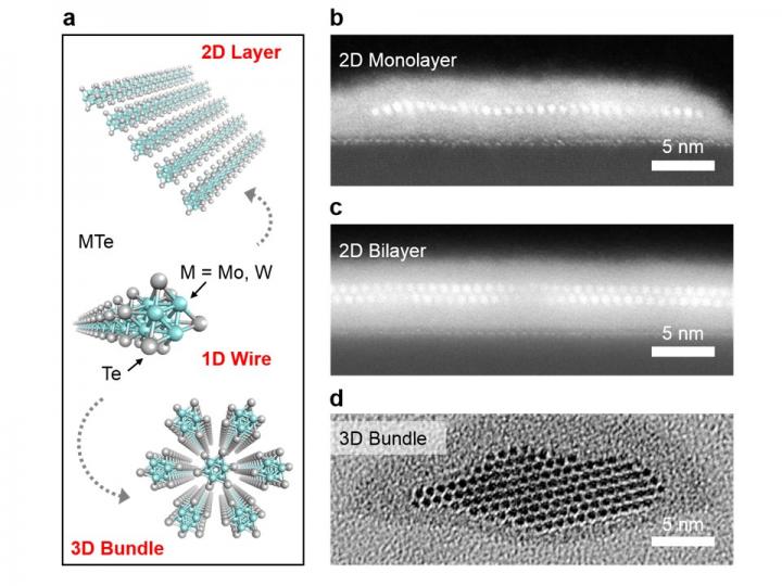Different forms of nanowires.