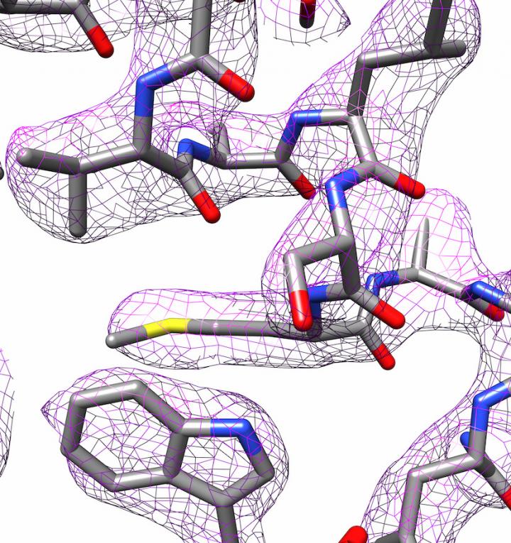 Part of the 3D-Structure of Apoferritin