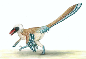 An artist’s recreation of Vectiraptor greeni