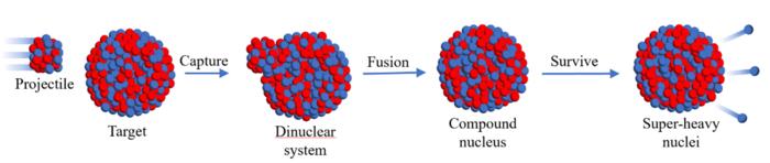 Schematic illustration of fusion reaction within the dinuclear system model framework.