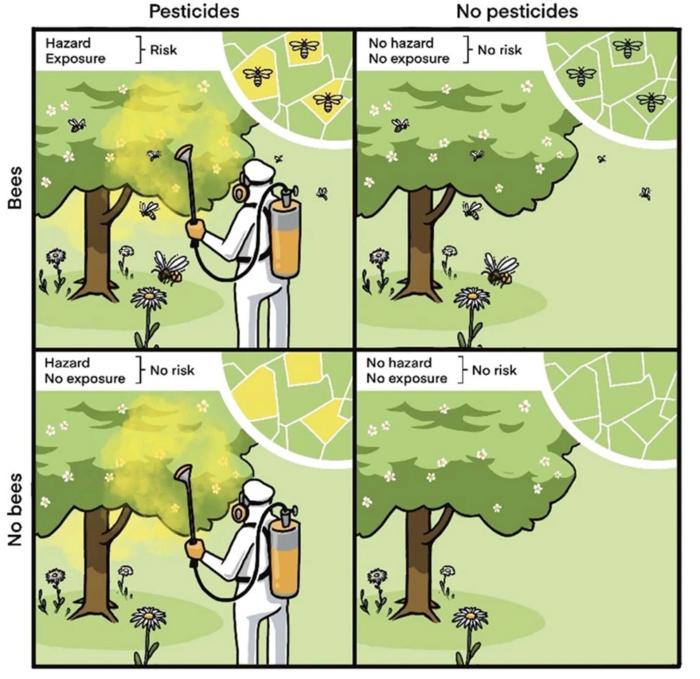 A simplified view of landscape exposure and resulting pesticide risk to bees