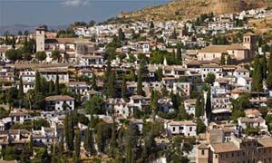 Cypresses in Albayzin Neighborhood, Grenanda