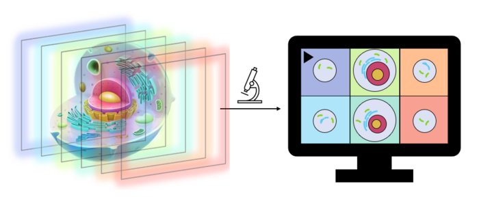 illustration-image-eurekalert-science-news-releases