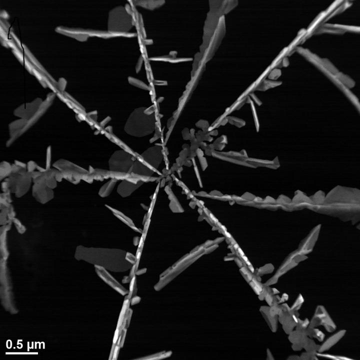 Nanotech plastic packaging could leach silver into some types of foods and beverages