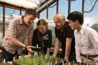 New Salk Findings Yield Insights into How Plants Get Their Traits