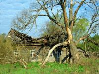 Abandoned House near Chernobyl