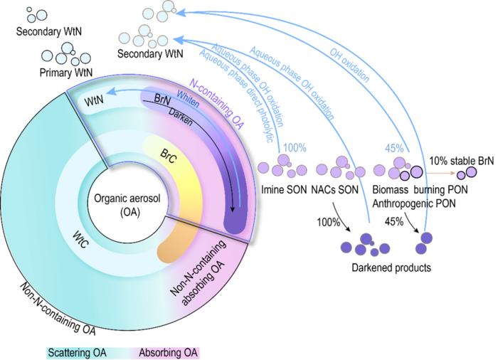 Schematic representation of the nitrogen-containing components in organic aerosols and the evolution of their light-absorbing properties.