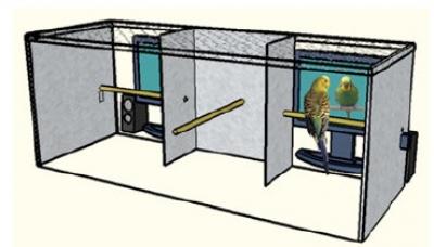 Illustration of Apparatus