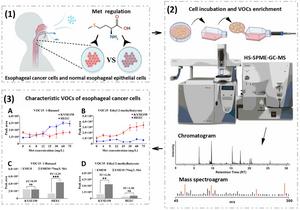 New Study Reveals Potential for Noninvasive Esophageal Cancer Screening Through VOCs Analysis