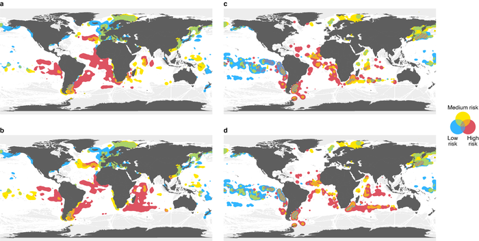 Risk maps for labor abuse and IUU fishing and associated with transshipment at sea.
