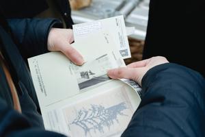 Be kin with the plant inhabitant: from plant | EurekAlert!