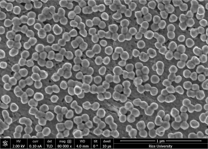 Electron microscope image of silver nanoparticles