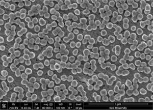 Electron microscope image of silver nanoparticles