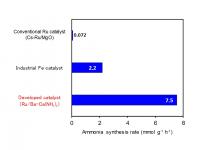 Ammonia Synthesis Activity 