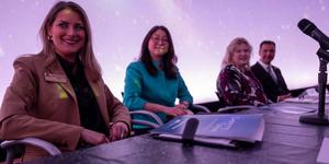 UTA panelists (from left) Erin Carlson, Yue Deng, Kimberly Breuer, Levent Gurdemir